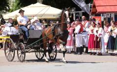 Mini Duzijanca23